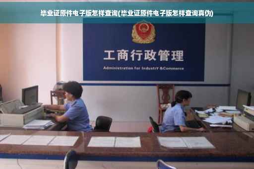 毕业证原件电子版怎样查询(毕业证原件电子版怎样查询真伪)