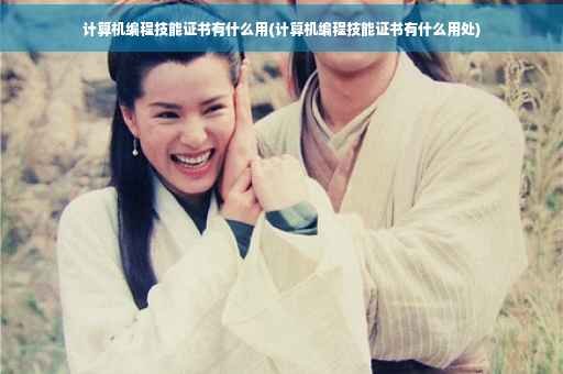 计算机编程技能证书有什么用(计算机编程技能证书有什么用处)