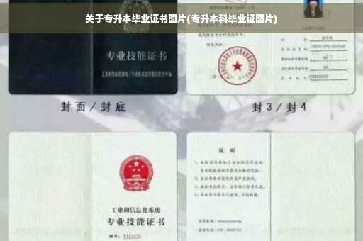 关于专升本毕业证书图片(专升本科毕业证图片)
