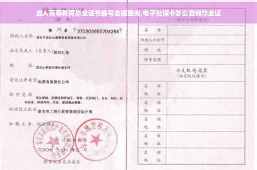 成人高等教育毕业证书编号去哪查询,电子社保卡怎么查询毕业证