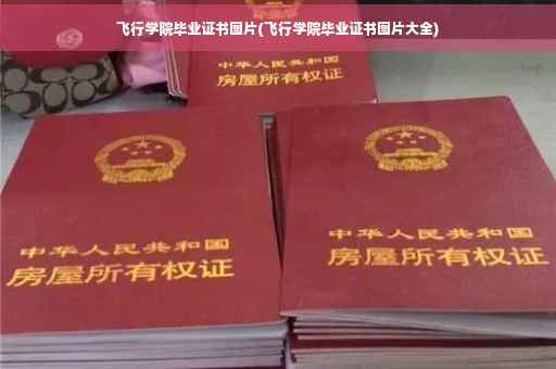 飞行学院毕业证书图片(飞行学院毕业证书图片大全)