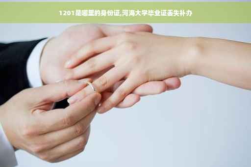 1201是哪里的身份证,河海大学毕业证丢失补办