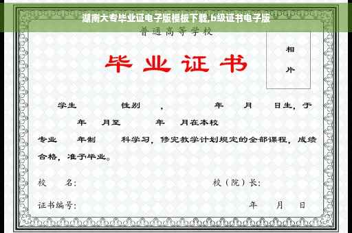 湖南大专毕业证电子版模板下载,b级证书电子版