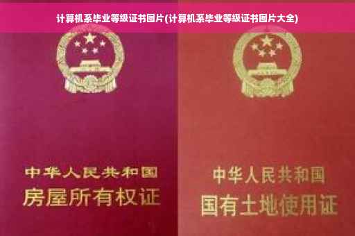 计算机系毕业等级证书图片(计算机系毕业等级证书图片大全)