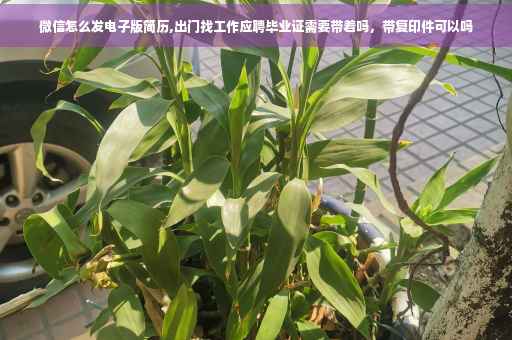 微信怎么发电子版简历,出门找工作应聘毕业证需要带着吗，带复印件可以吗
