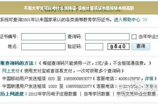 不是大学生可以考什么资格证-没有计算机证书能报转本吗高职
