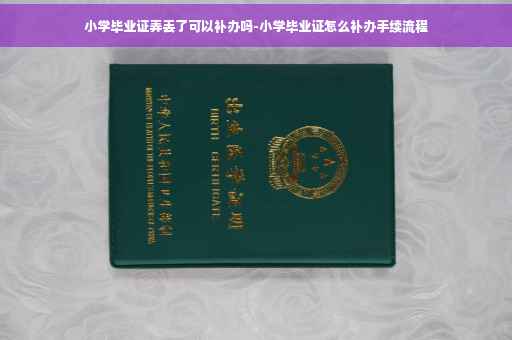 小学毕业证弄丢了可以补办吗-小学毕业证怎么补办手续流程