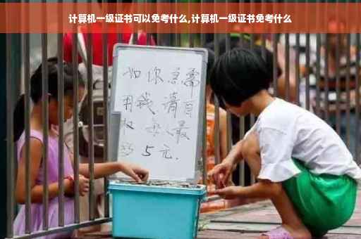 计算机一级证书可以免考什么,计算机一级证书免考什么