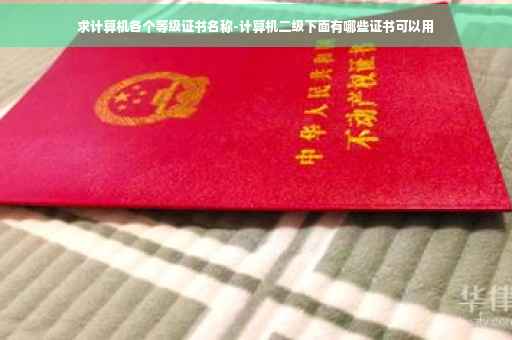 求计算机各个等级证书名称-计算机二级下面有哪些证书可以用