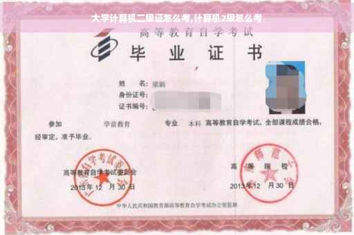 大学计算机二级证怎么考,计算机2级怎么考