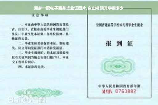 湘乡一职电子商务毕业证图片,东山书院升学率多少
