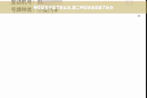 学位证壳子丢了怎么办,第二学位毕业证丢了补办
