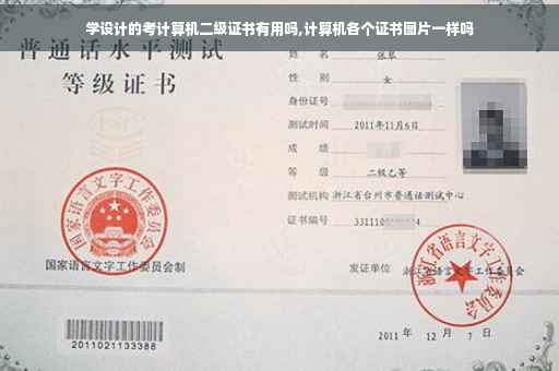 学设计的考计算机二级证书有用吗,计算机各个证书图片一样吗