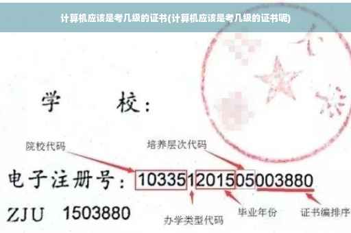 计算机应该是考几级的证书(计算机应该是考几级的证书呢)