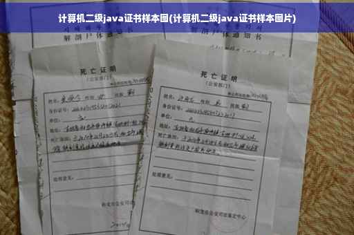 计算机二级java证书样本图(计算机二级java证书样本图片)