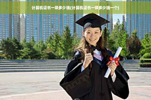 计算机证书一级多少钱(计算机证书一级多少钱一个)