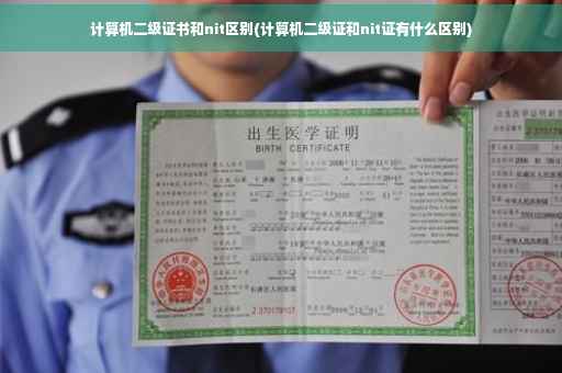计算机二级证书和nit区别(计算机二级证和nit证有什么区别)