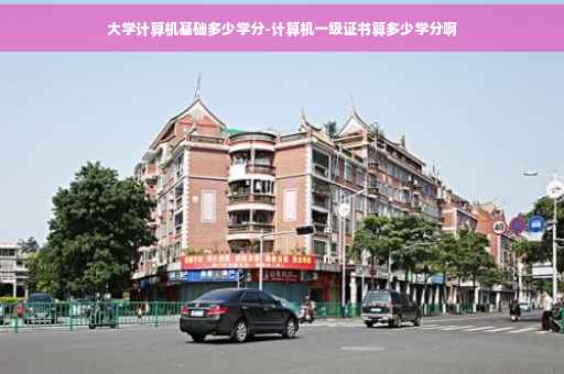 大学计算机基础多少学分-计算机一级证书算多少学分啊
