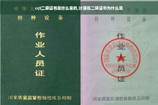 cct二级证书是什么来的,计算机二级证书为什么是
