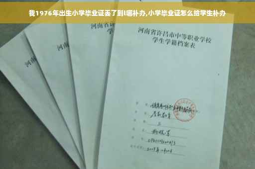 我1976年出生小学毕业证丢了到l哪补办,小学毕业证怎么给学生补办