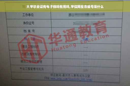 大学毕业证有电子档吗有用吗,学信网报告编号是什么