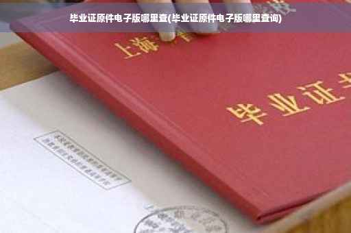 毕业证原件电子版哪里查(毕业证原件电子版哪里查询)