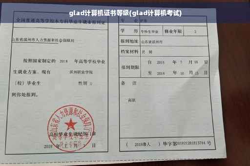 glad计算机证书等级(glad计算机考试)