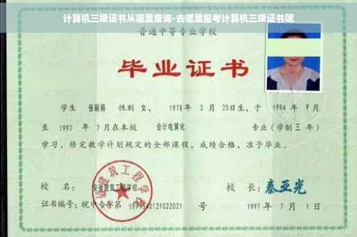 计算机三级证书从哪里查询-去哪里报考计算机三级证书呢