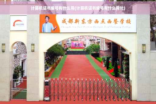 计算机证书编号有什么用(计算机证书编号有什么用处)