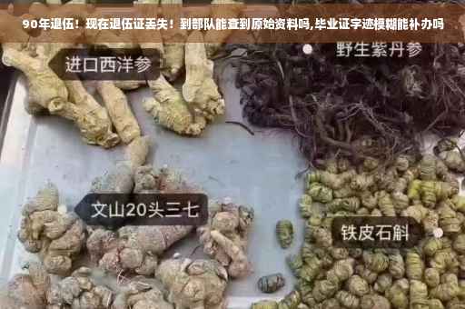 90年退伍！现在退伍证丢失！到部队能查到原始资料吗,毕业证字迹模糊能补办吗