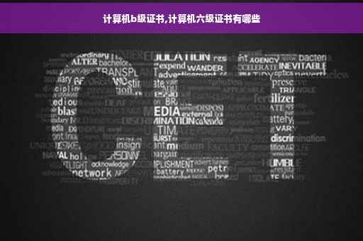 计算机b级证书,计算机六级证书有哪些