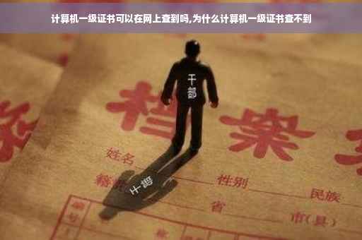计算机一级证书可以在网上查到吗,为什么计算机一级证书查不到