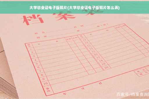 大学毕业证电子版照片(大学毕业证电子版照片怎么弄)