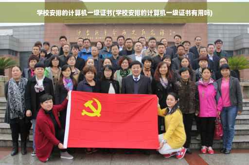 学校安排的计算机一级证书(学校安排的计算机一级证书有用吗)