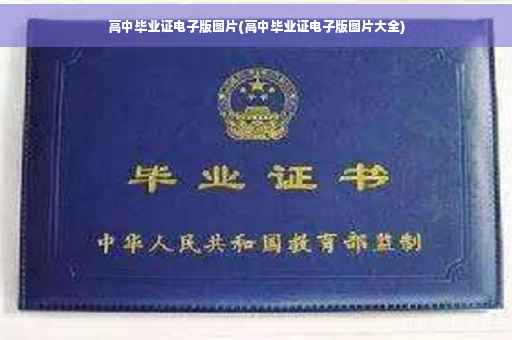 高中毕业证电子版图片(高中毕业证电子版图片大全)