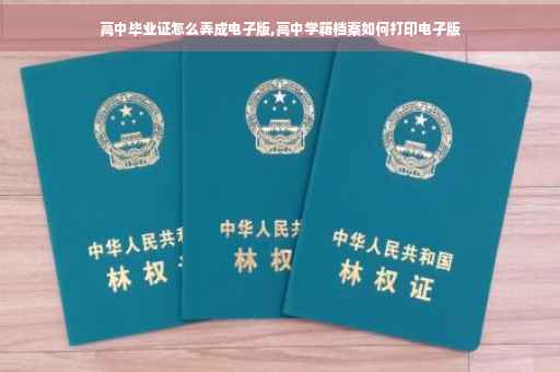 高中毕业证怎么弄成电子版,高中学籍档案如何打印电子版