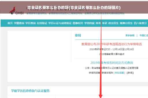 毕业证名册怎么补办的呀(毕业证名册怎么补办的呀图片)