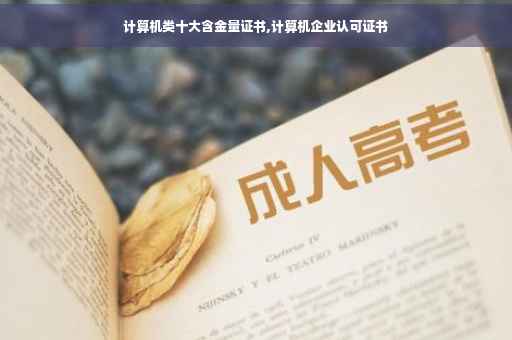 计算机类十大含金量证书,计算机企业认可证书