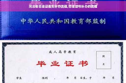 河北省毕业证丢失补办流程,毕业证书补办的流程