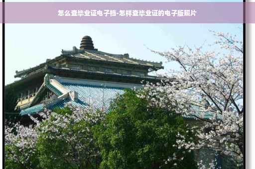怎么查毕业证电子档-怎样查毕业证的电子版照片