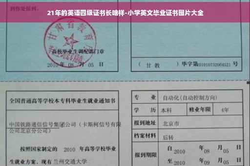 21年的英语四级证书长啥样-小学英文毕业证书图片大全