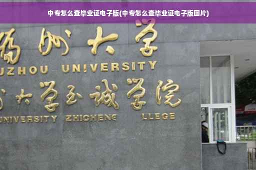 中专怎么查毕业证电子版(中专怎么查毕业证电子版图片)