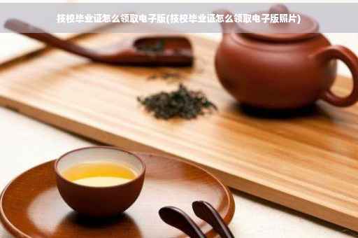 技校毕业证怎么领取电子版(技校毕业证怎么领取电子版照片)