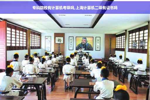专科院校有计算机考级吗,上海计算机二级有证书吗