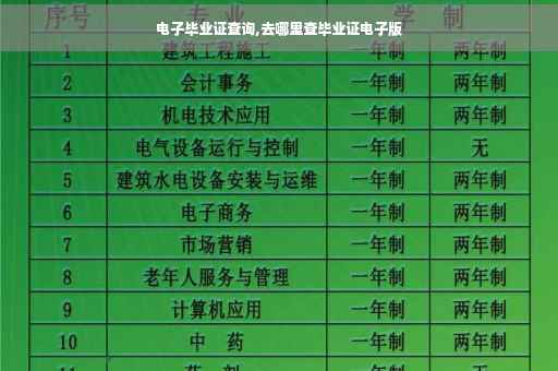 电子毕业证查询,去哪里查毕业证电子版