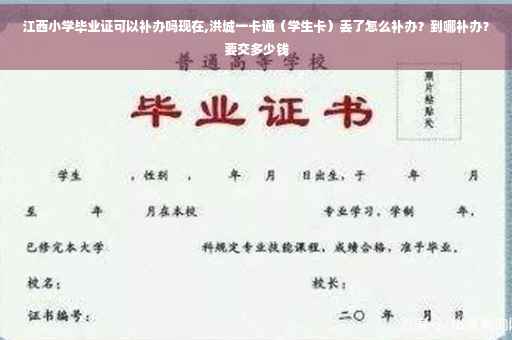 江西小学毕业证可以补办吗现在,洪城一卡通（学生卡）丢了怎么补办？到哪补办？要交多少钱