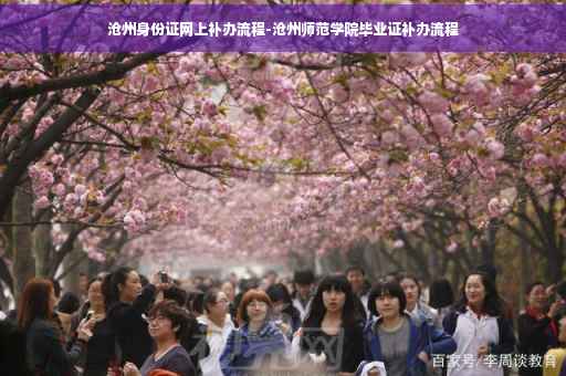 沧州身份证网上补办流程-沧州师范学院毕业证补办流程