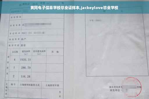 黄冈电子信息学校毕业证样本,jackeylove毕业学校