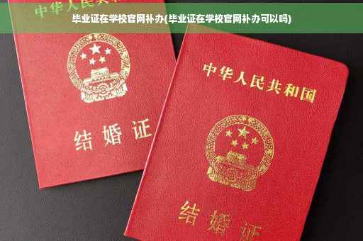 毕业证在学校官网补办(毕业证在学校官网补办可以吗)