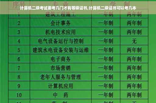 计算机二级考试要考几门才有等级证书,计算机二级证书可以考几本